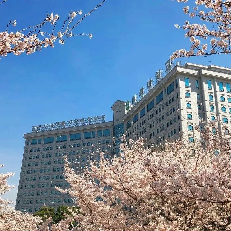 白石大学1年制中文授课专升本开启入学申请(图11) 图片