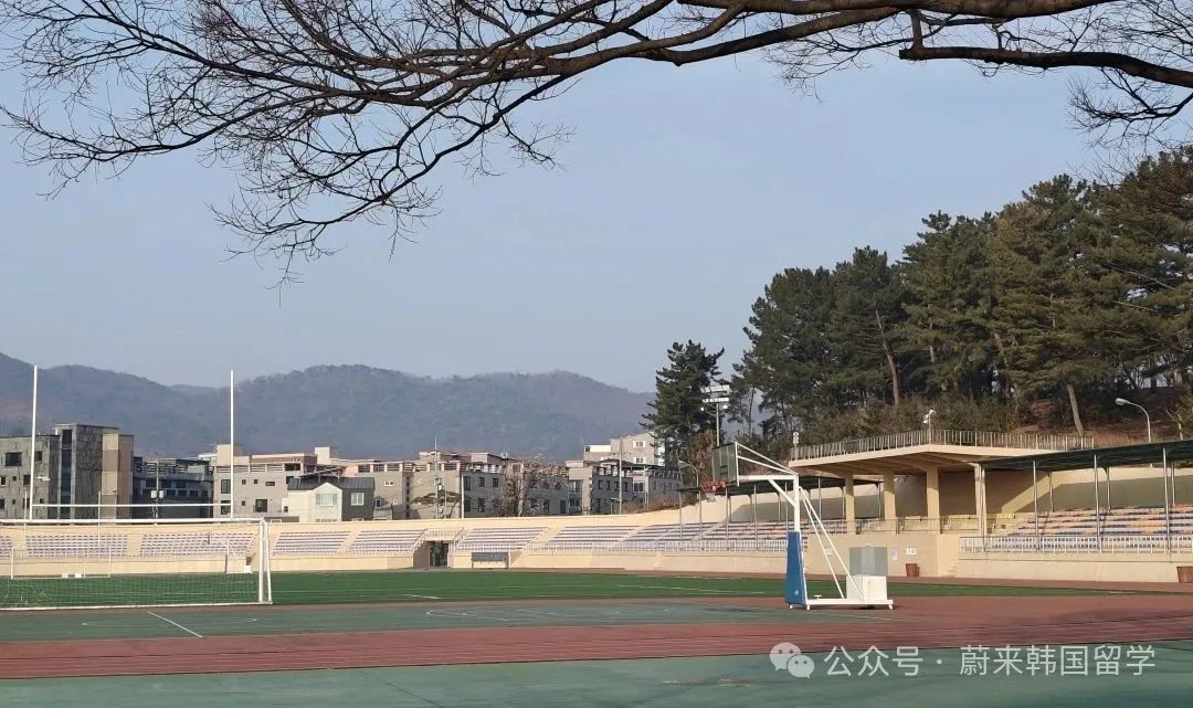 东国大学wise校区1.5年制双语授课经营学系硕士开启入学申请(图17) 图片