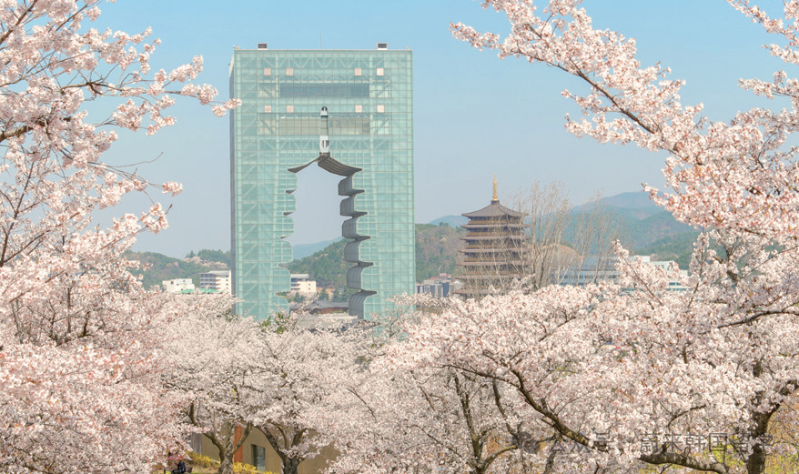 东国大学wise校区1.5年制双语授课经营学系硕士开启入学申请(图14) 图片