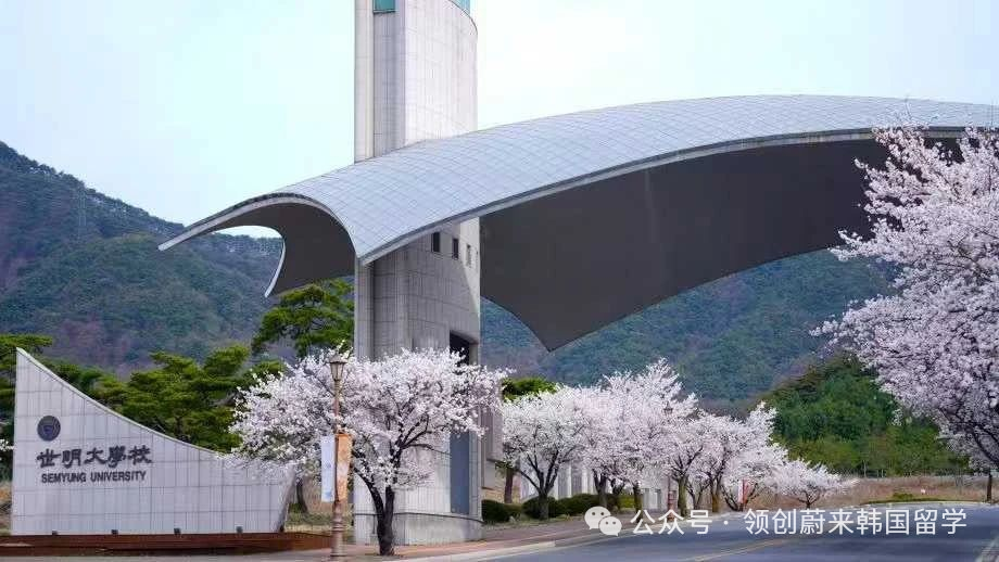 韩国1年制专升本院校推荐丨申请计算机专业可以选择哪些学校?(图12) 图片