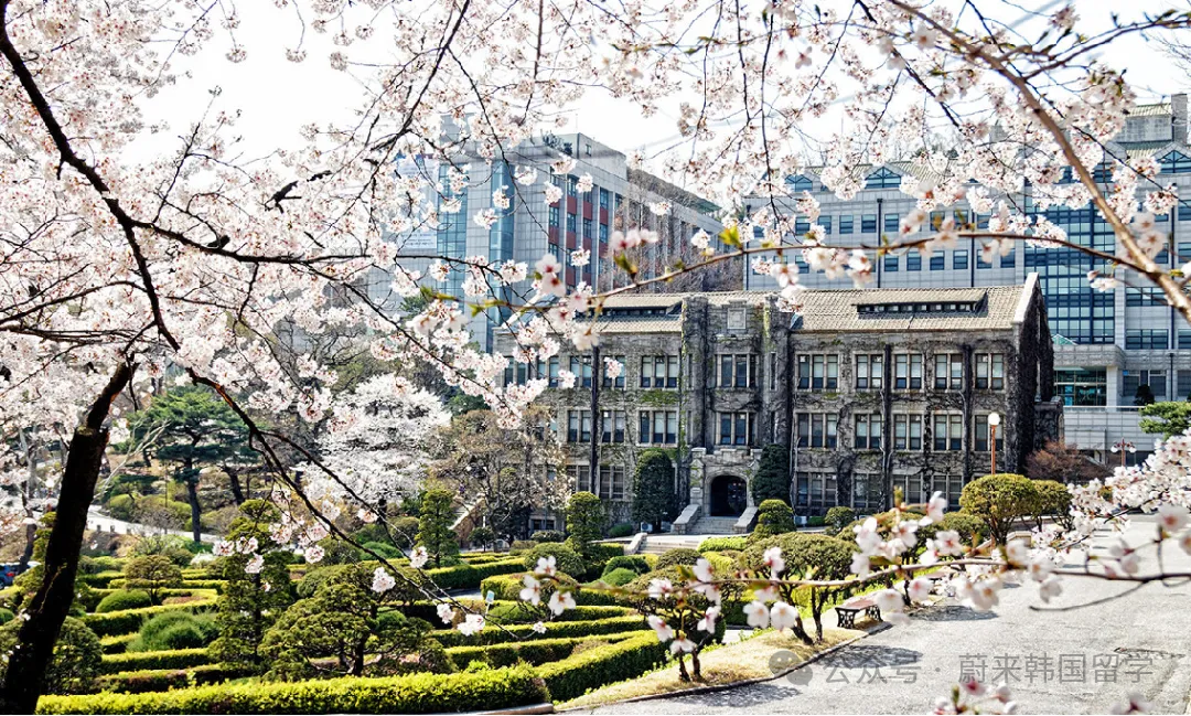 (5.19更新)2025年9月批次韩国中文授课硕士项目申请专业及招生日程汇总(图15) 图片