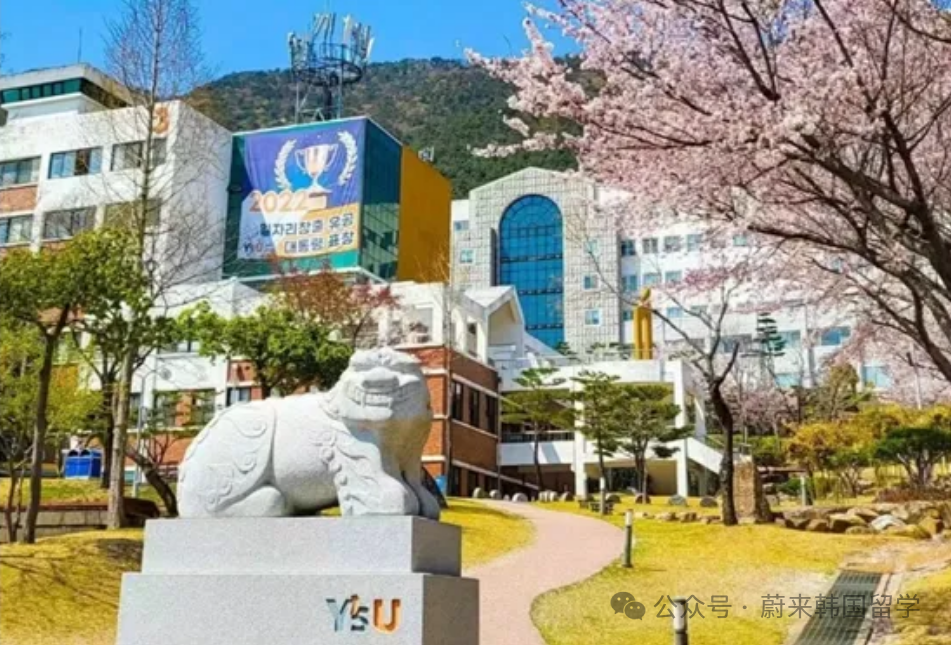 (5.19更新)2025年9月批次韩国中文授课硕士项目申请专业及招生日程汇总(图31) 图片