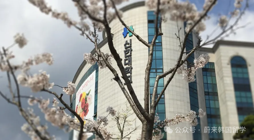(5.19更新)2025年9月批次韩国中文授课硕士项目申请专业及招生日程汇总(图51) 图片