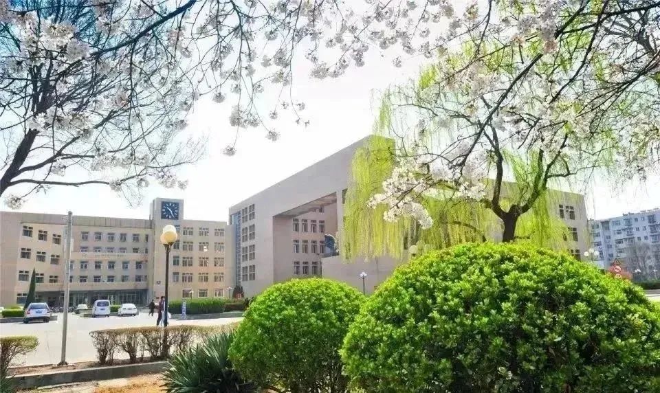 2025年秋季山东理工大学韩国留学预科班招生简章(高升本)(图7) 图片