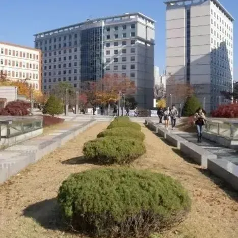 喜报 | 25年9月批次留学-韩国西江大学第2批次录取通知书来啦!(图15) 图片