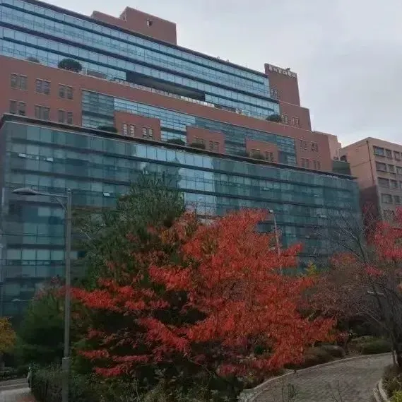 喜报 | 25年9月批次留学-韩国西江大学第2批次录取通知书来啦!(图16) 图片