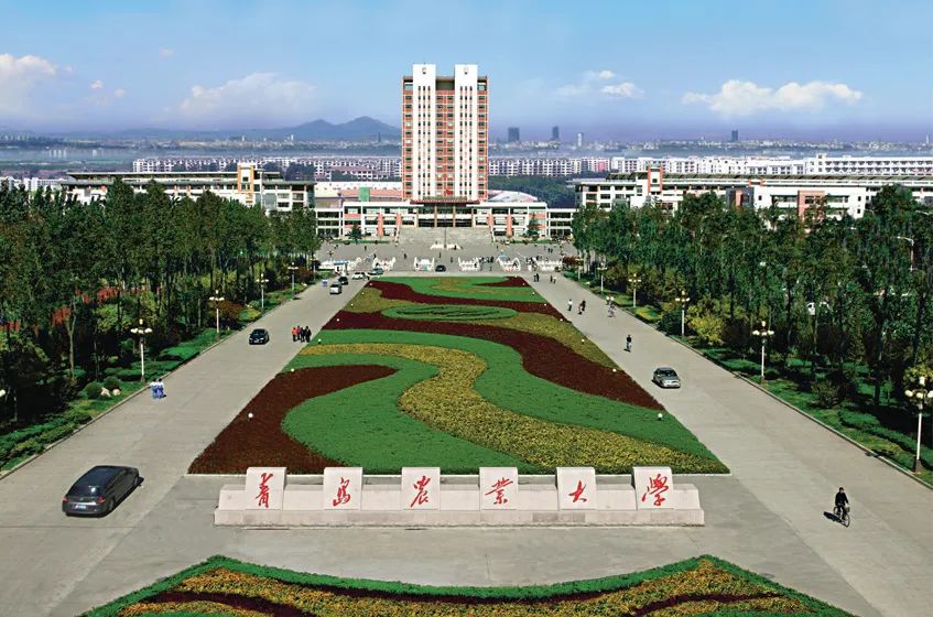 青岛农业大学2025年高等学历继续教育招生简章(图1) 图片