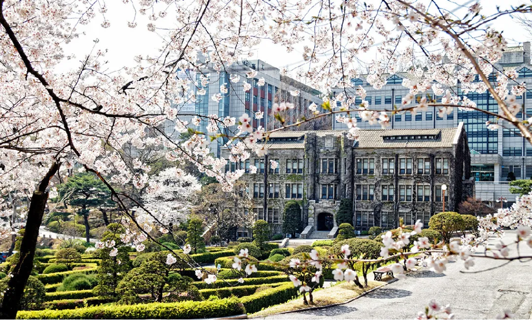 日程汇总 | 2025年9月批次韩国中文授课硕士项目申请专业及招生日程汇总(最新更新)(图15) 图片