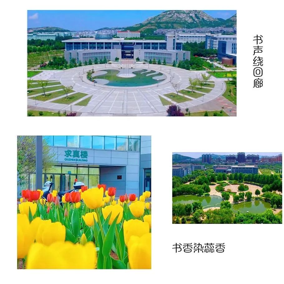 家长必知!高考441分以下读重点本科,名额有限,错过再无!(图33) 图片