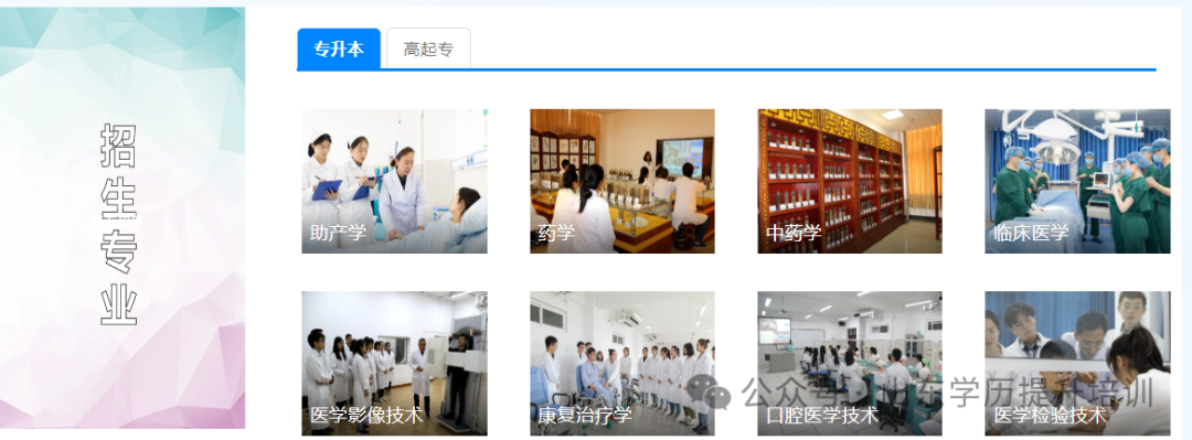 2025年齐鲁医药学院成人高考招生简章及专业介绍!(图11) 图片