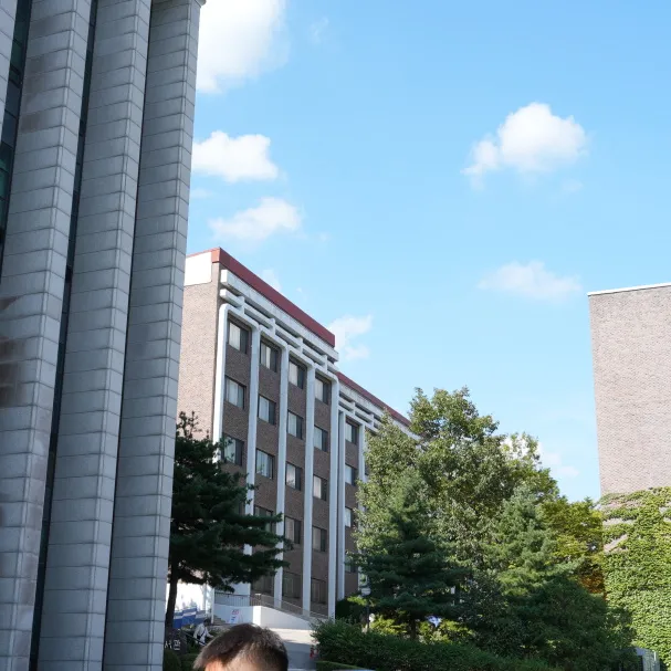 喜报 | 25年9月批次留学-韩国大真大学本科第2批次录取通知书来啦!(图99) 图片