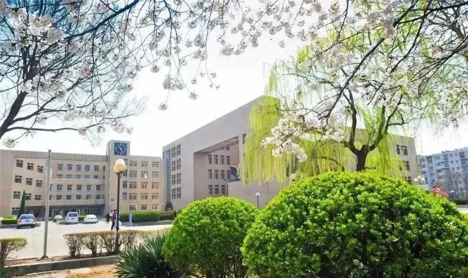 今年高考考生请注意!山东理工大学韩国留学帮您直通韩国重点本科!(图7) 图片
