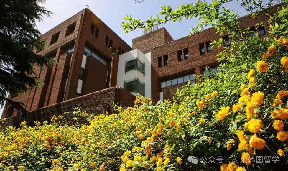 1年制中文授课 | 大邱大学开启专升本入学申请(图26) 图片