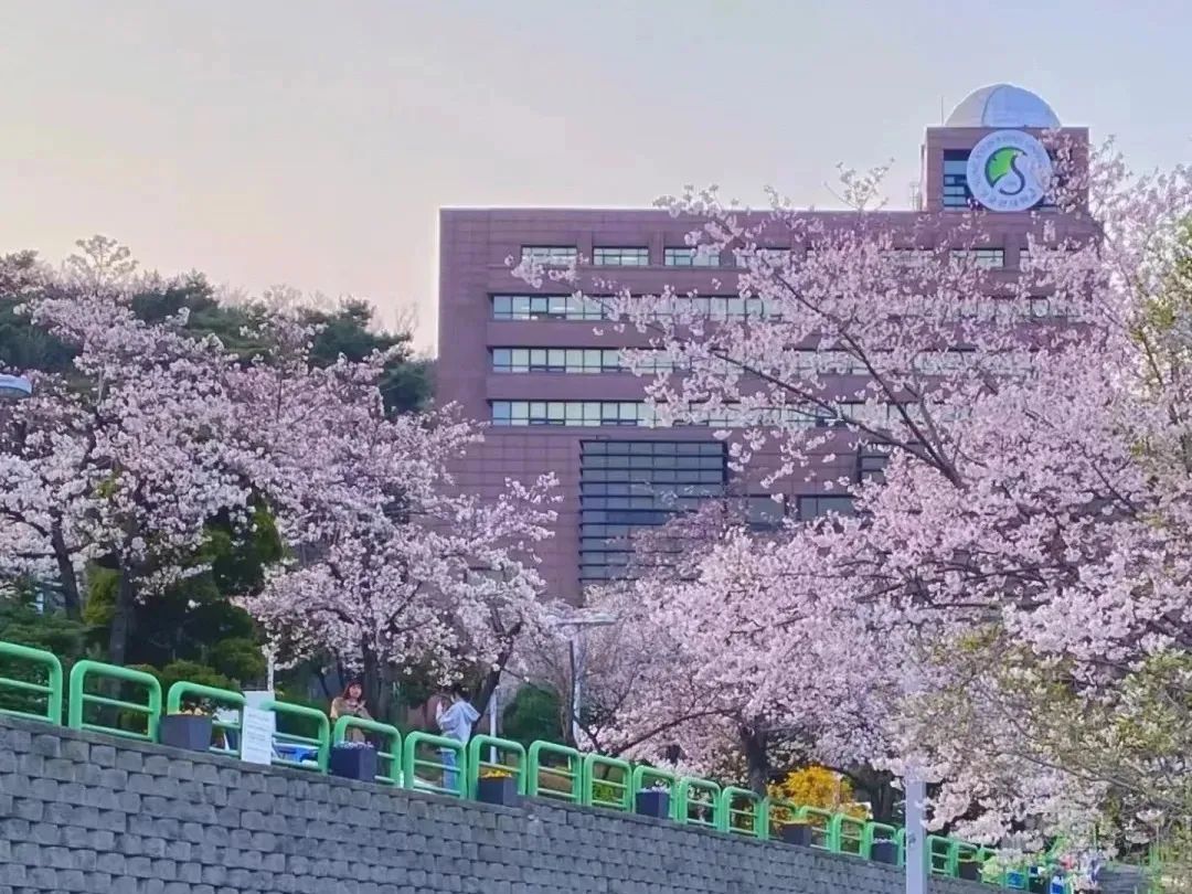 2026年春季韩国成均馆大学本科申请指南(图10) 图片
