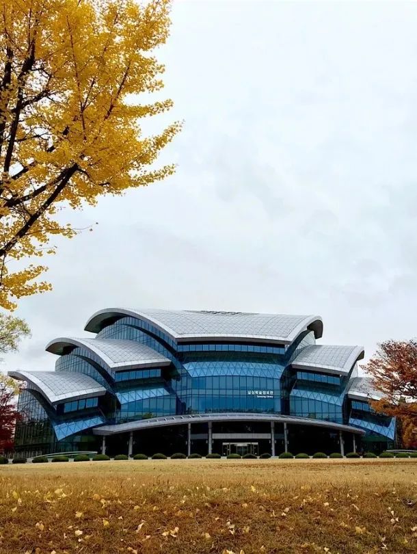 2026年春季韩国成均馆大学本科申请指南(图12) 图片