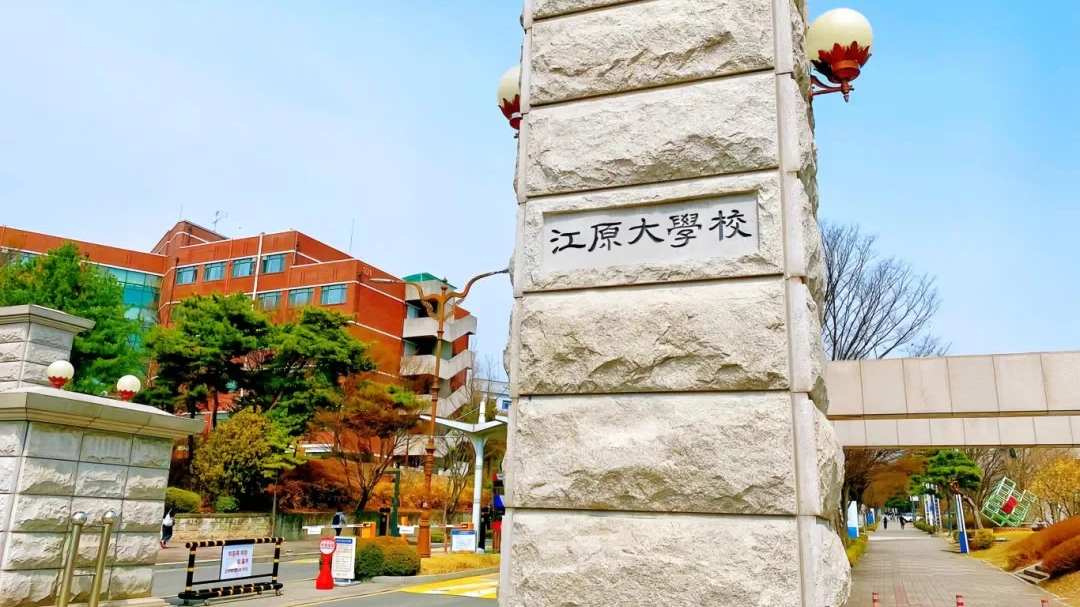 山东女子学院与韩国国立江原大学 中韩合作重点本科招生简章(图4) 图片