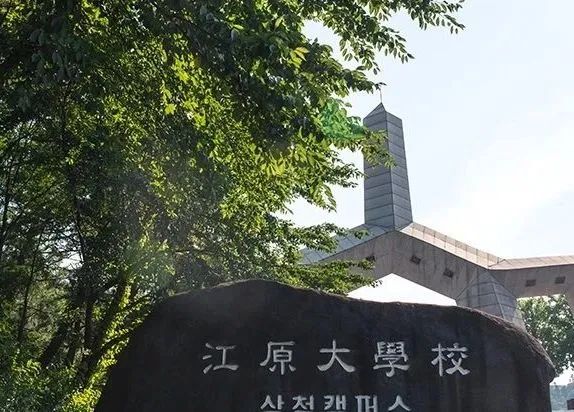 山东女子学院与韩国国立江原大学 中韩合作重点本科招生简章(图18) 图片