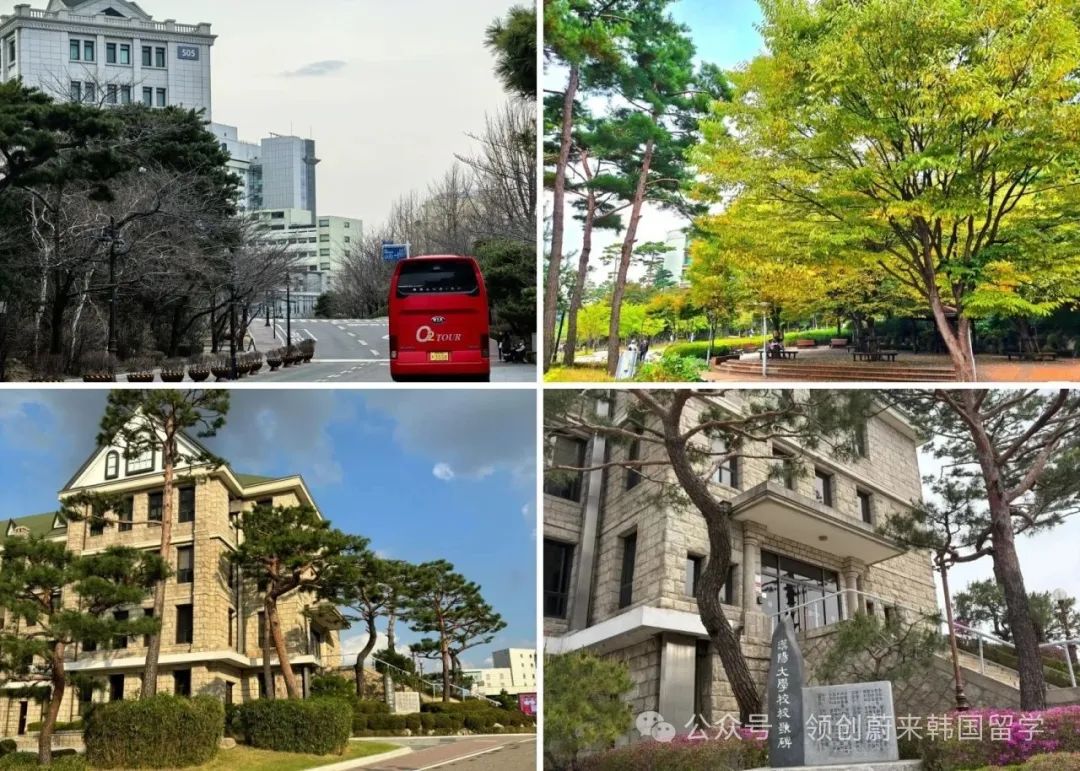 韩国延世大学博士后8月29日截止报名!(图17) 图片