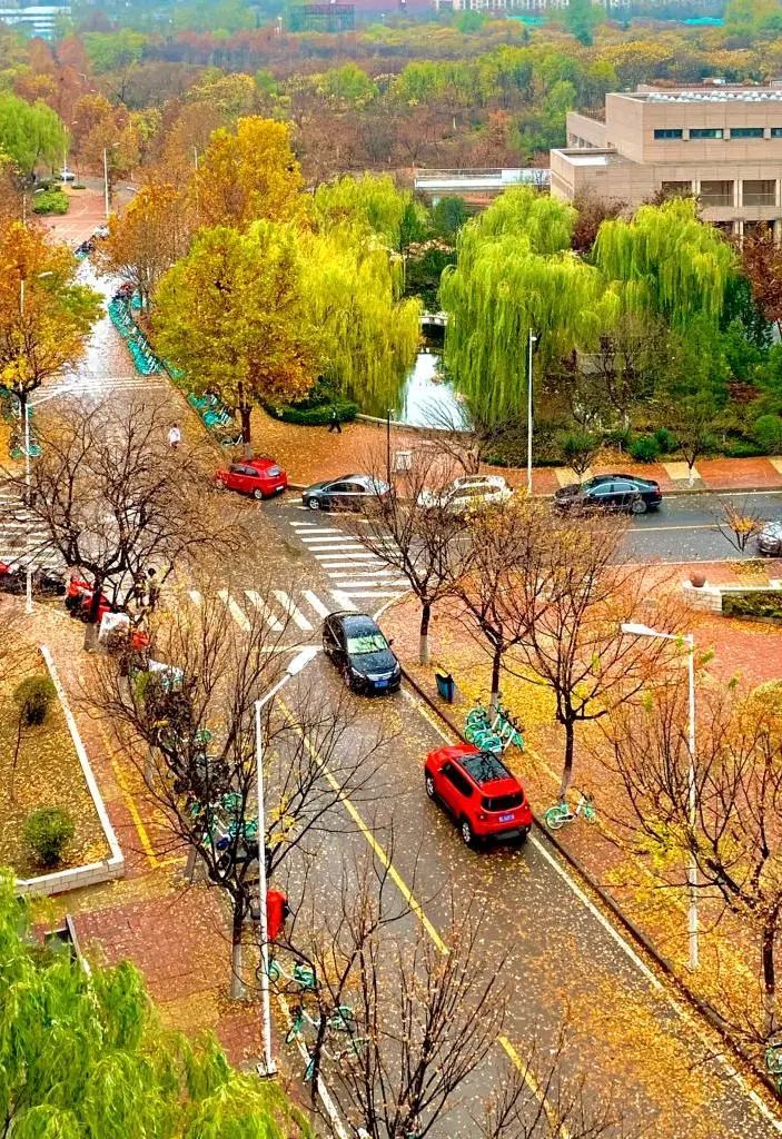 2025年山东建筑大学高等学历继续教育校本部直属班招生简章(图5) 图片
