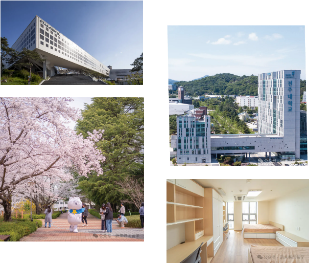 26年9月入学 | 韩国全州大学 双语授课专升本(3+1)招生指南(图6) b6ba705470685814d60414c9fe64a7b.png