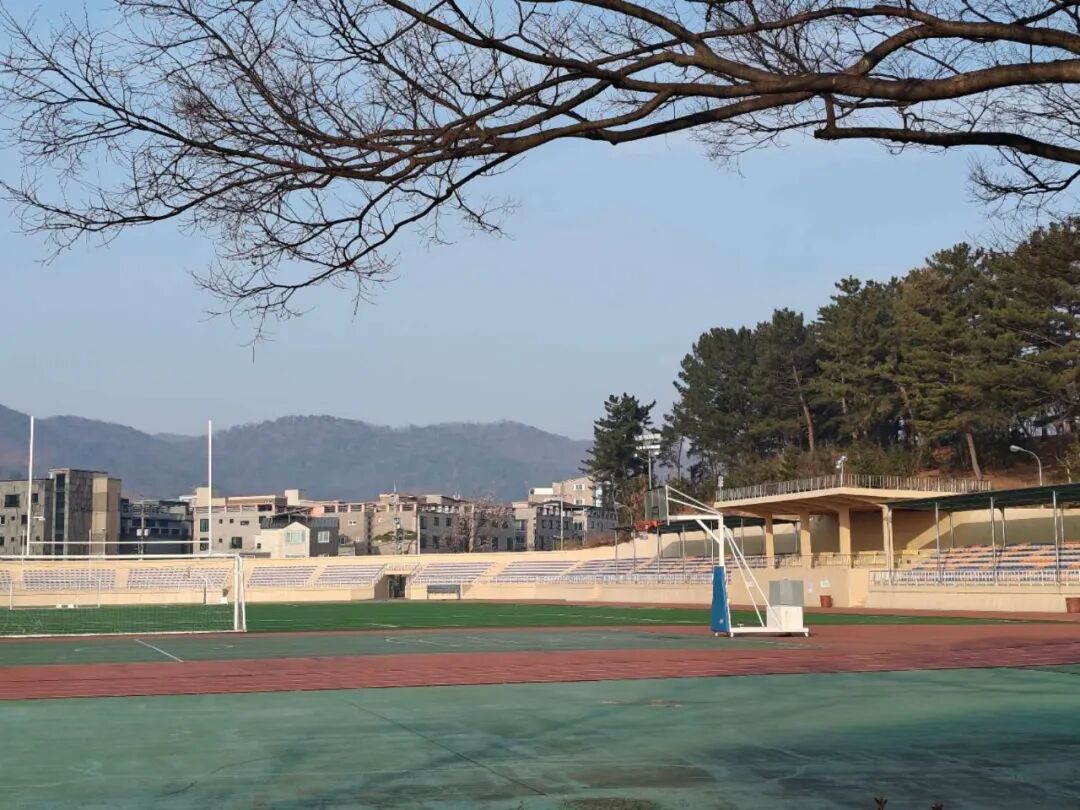 26年9月入学 | 韩国东国大学 双语授课专升本(3+1)招生指南(图7) 26年9月入学 | 韩国东国大学 双语授课专升本(3+1)招生指南(图7)