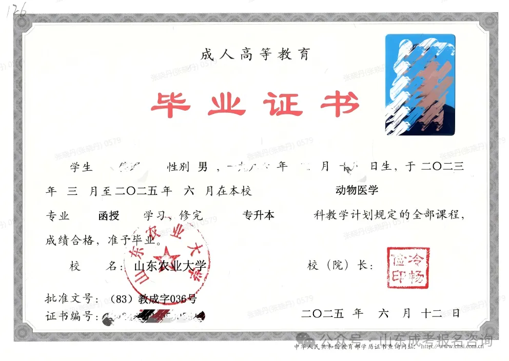 6120d2f353616343a8c81908d26e66da.png