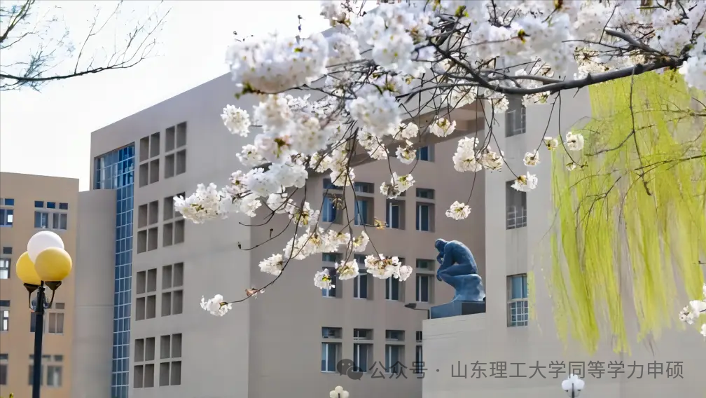 fc103957a2911551401c8dc1b3954a76.png
