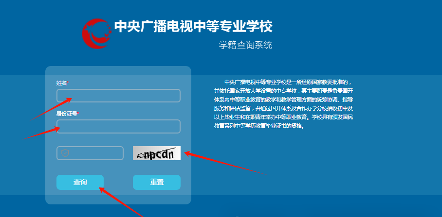 913a4fbda0bad34868d364ea64069a0a.png